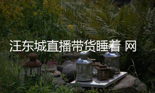 播带汪东网友故着 作货睡城直意炒